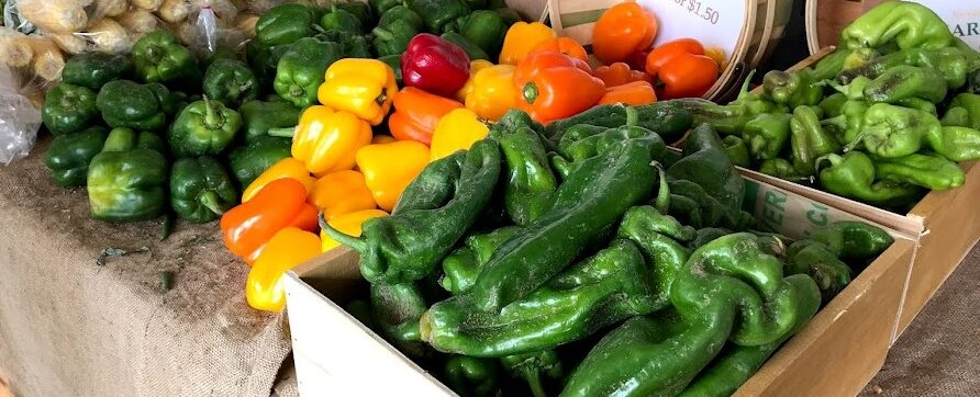 A Harvest of Blessing