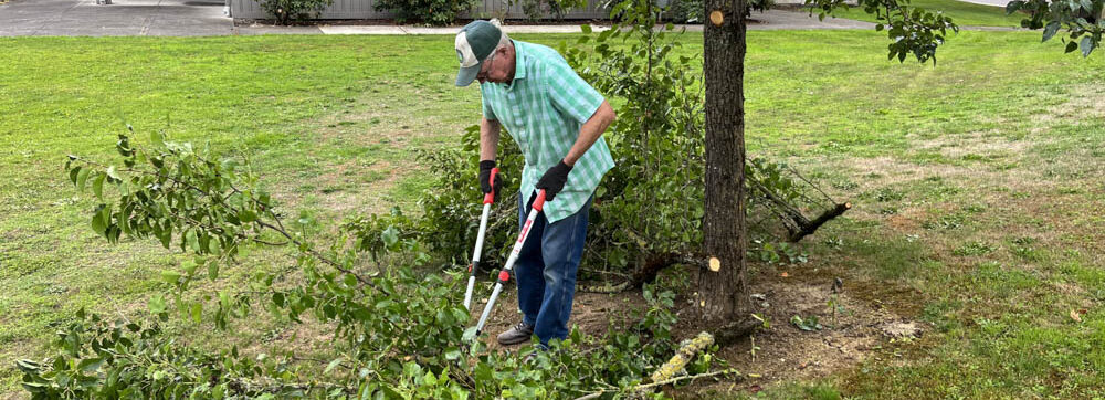 The Pruning
