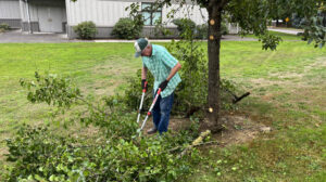 The Pruning