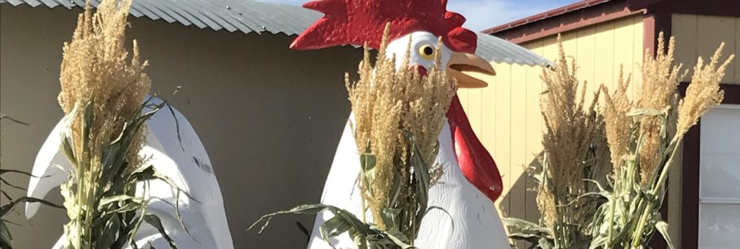 He Sees All in the Darkness