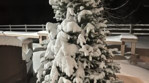 Weather Woes