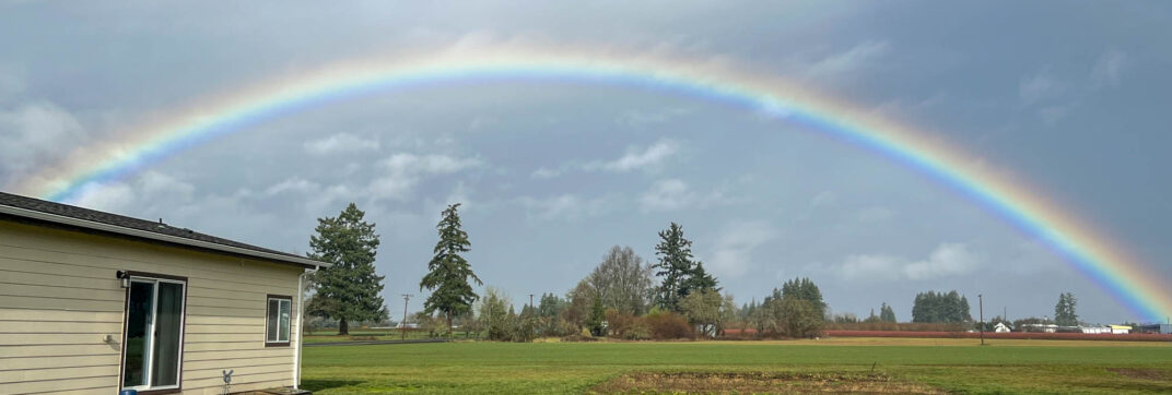 The Sign of the Covenant