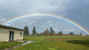 The Sign of the Covenant