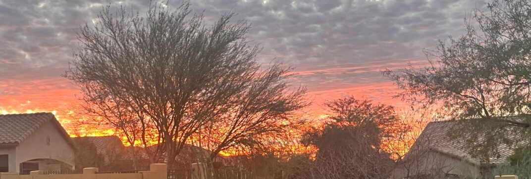 Enjoy the Sunrise