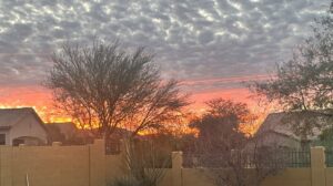 Enjoy the Sunrise