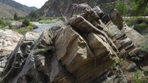 Even the Rocks