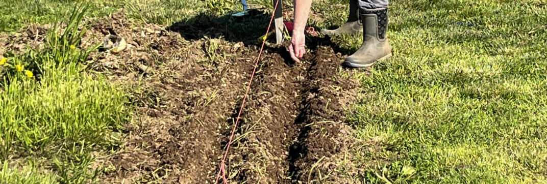 Planting Seeds