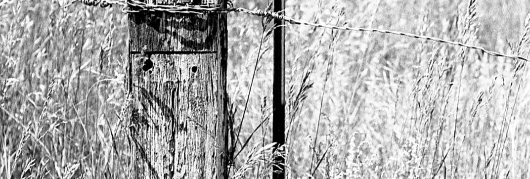Don’t Fence Me In!