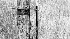 Don’t Fence Me In!