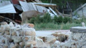 God’s Goodness Overshadows Life’s Ruins
