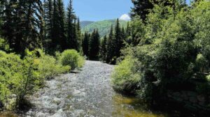 The Still Waters