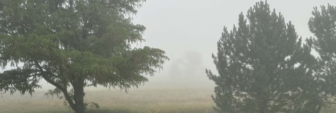 Through the Fog