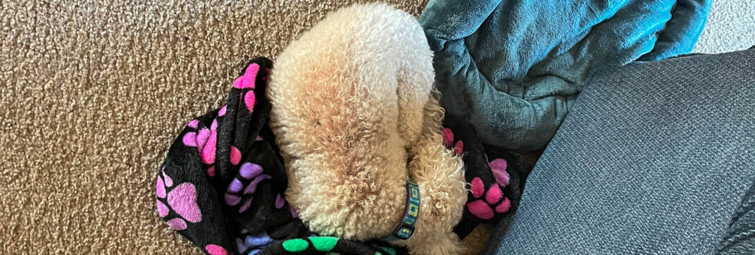 Maybe Too Cozy?