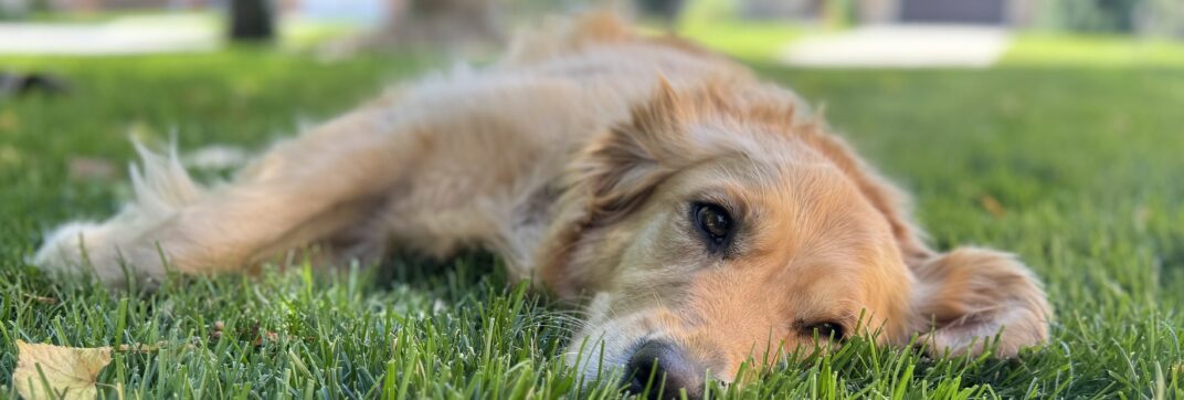 Burdens and Burnout