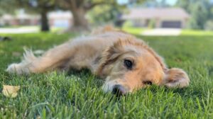 Burdens and Burnout