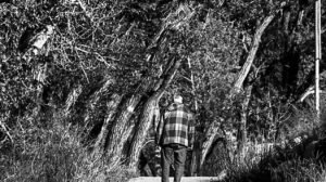 One Path, Different Paces