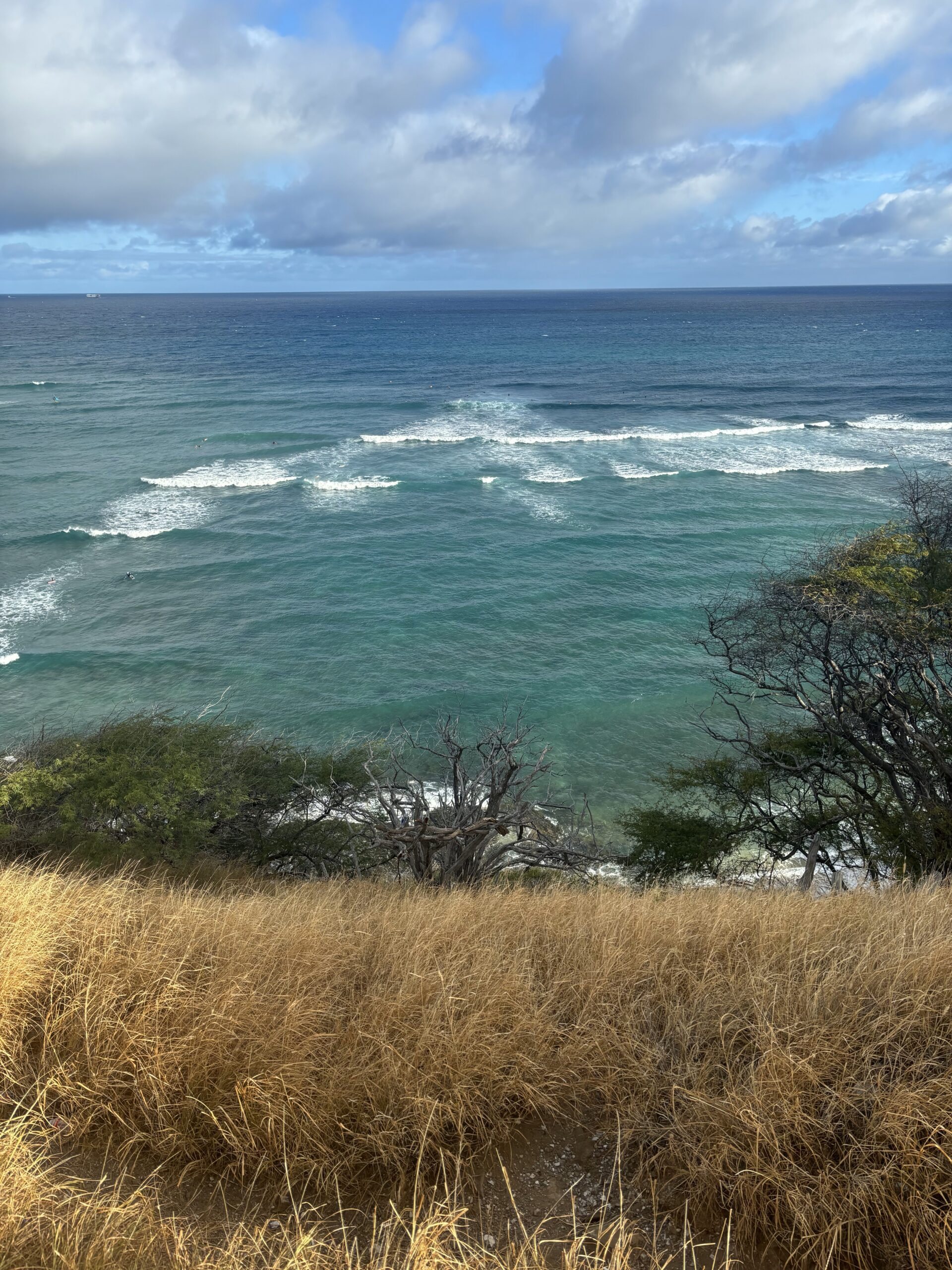 Ocean Size