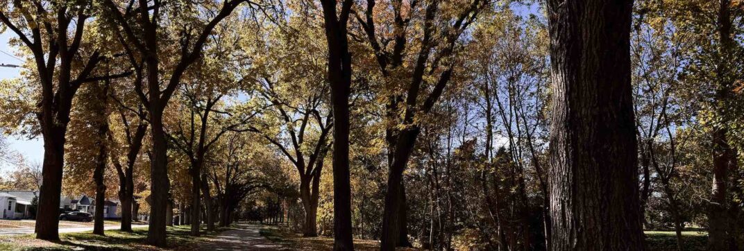 Changing Seasons
