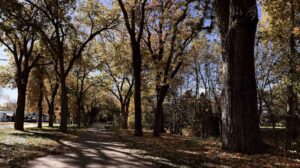 Changing Seasons