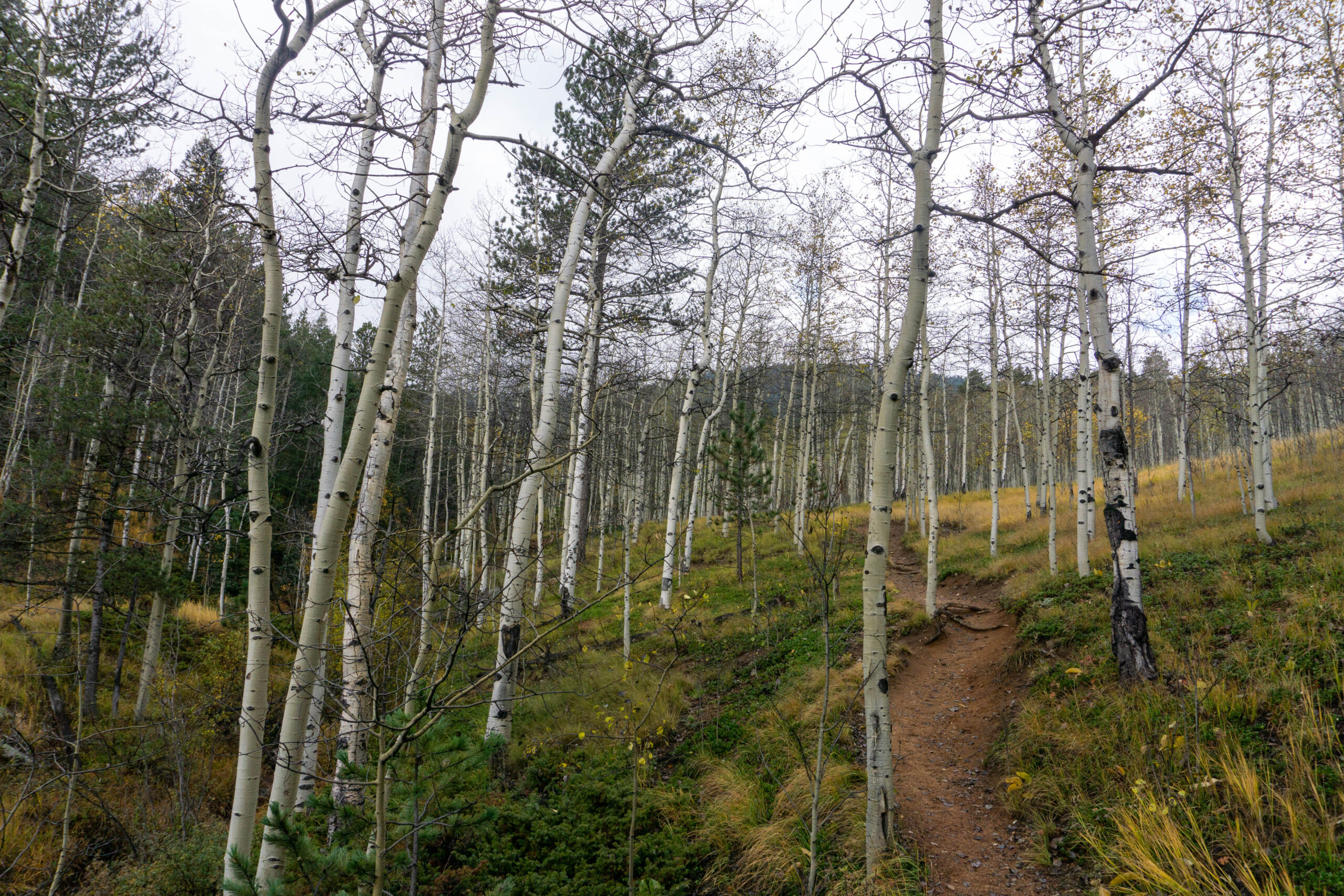 Life as a Stroll with God