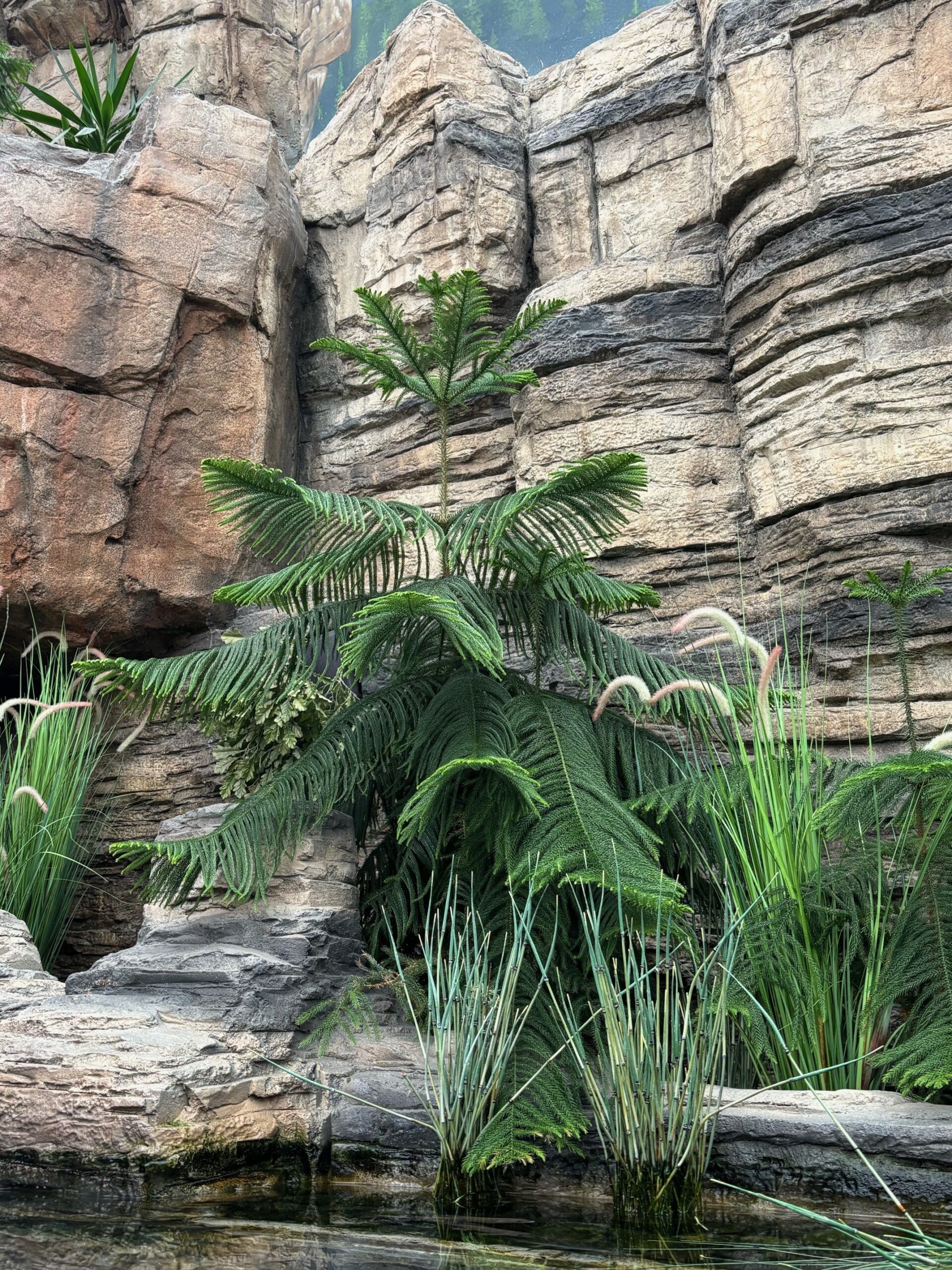 A Living Tree