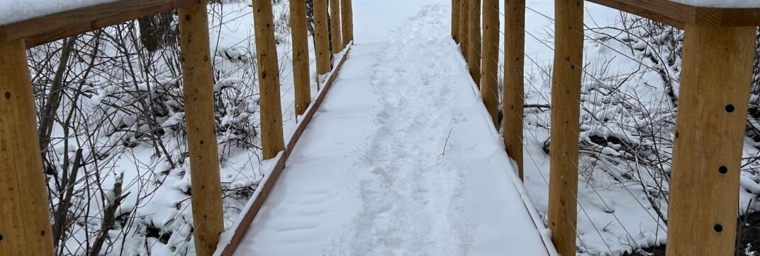 The Path