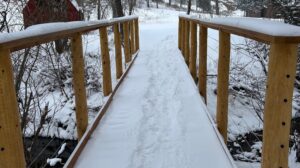 The Path