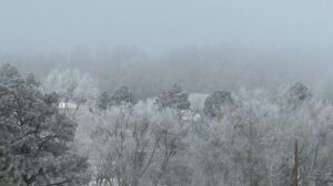 White As Snow