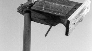 Gravity Works…