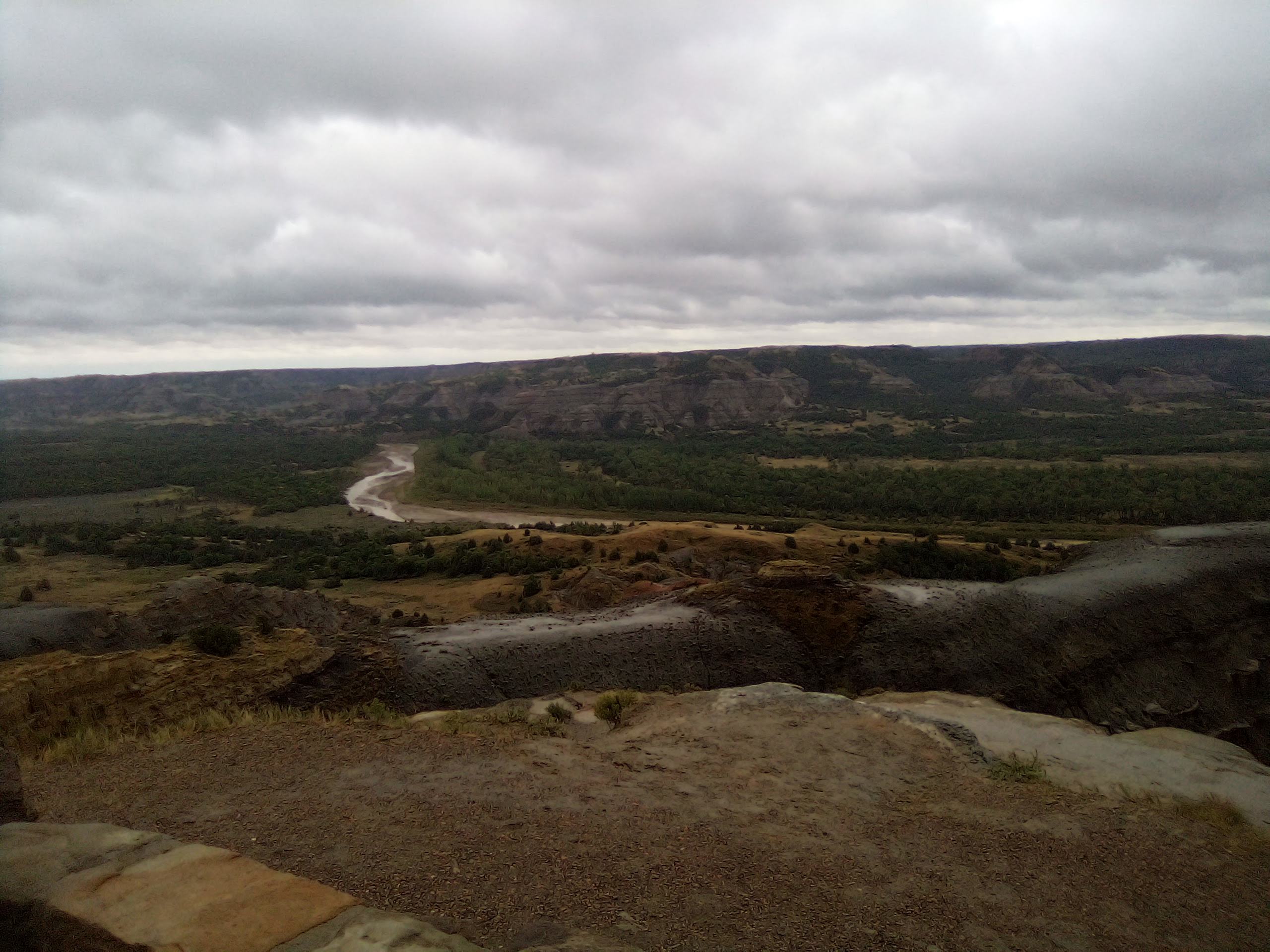 In the Wilderness