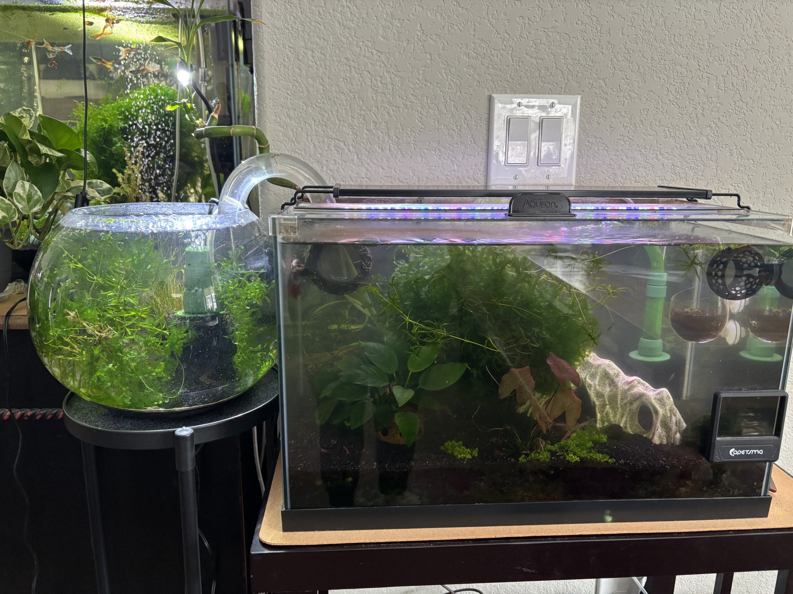 The Tale of Two Tanks