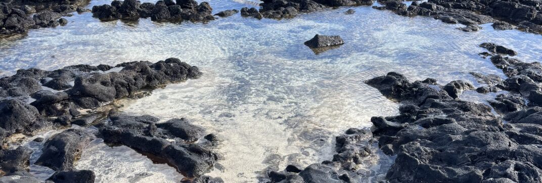 Tide Pools