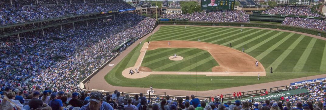 The Comfy Confines