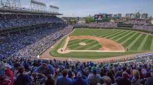 The Comfy Confines