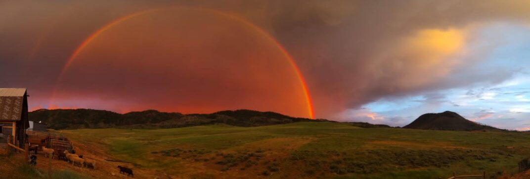 Rainbow