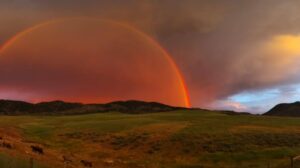 Rainbow