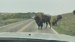Be the Herd