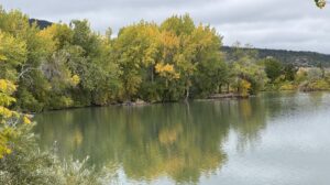 Get Away! Get Away!