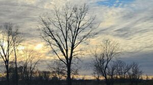 Hope in a Decaying World Hope in a Decaying World