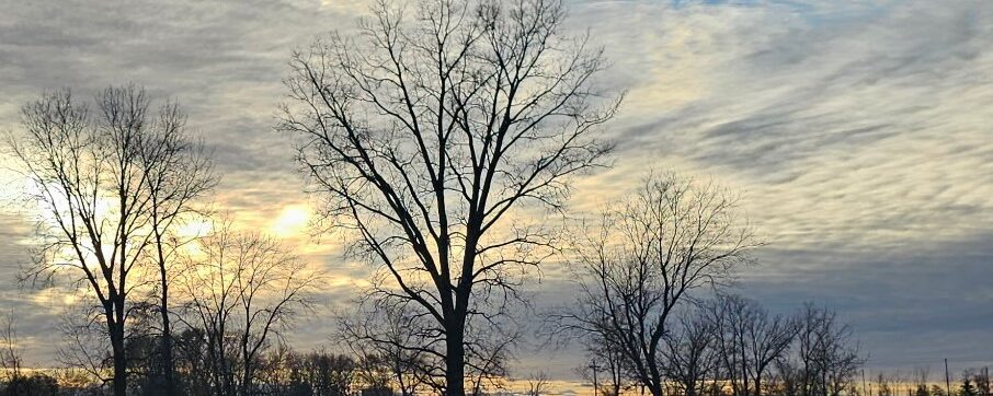 Hope in a Decaying World