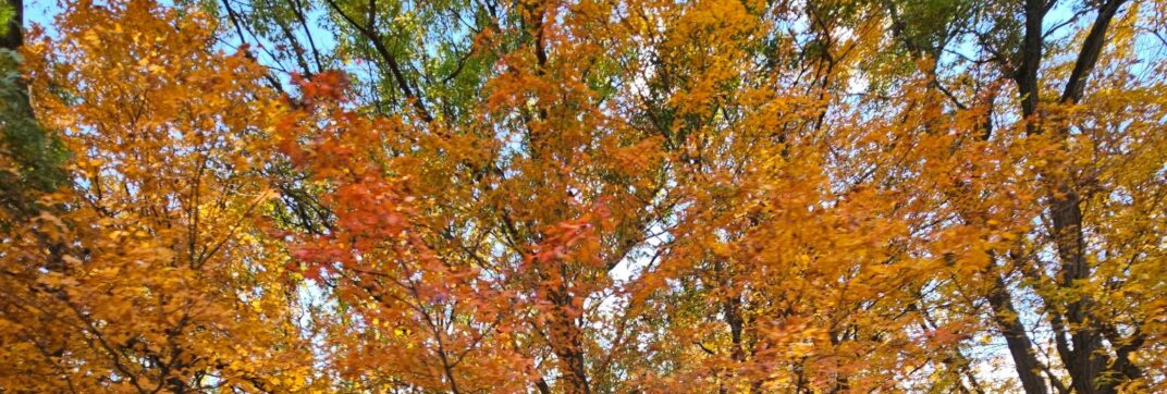 Seasons