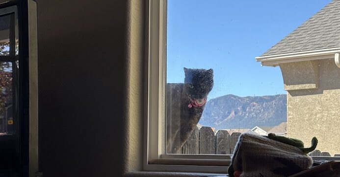 Peeking In