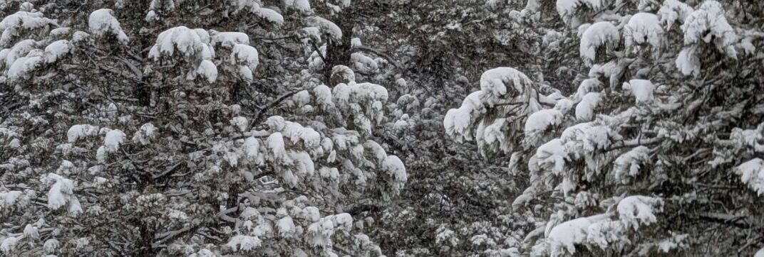 Blanketed in Mercy