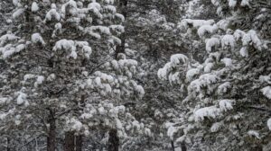 Blanketed in Mercy