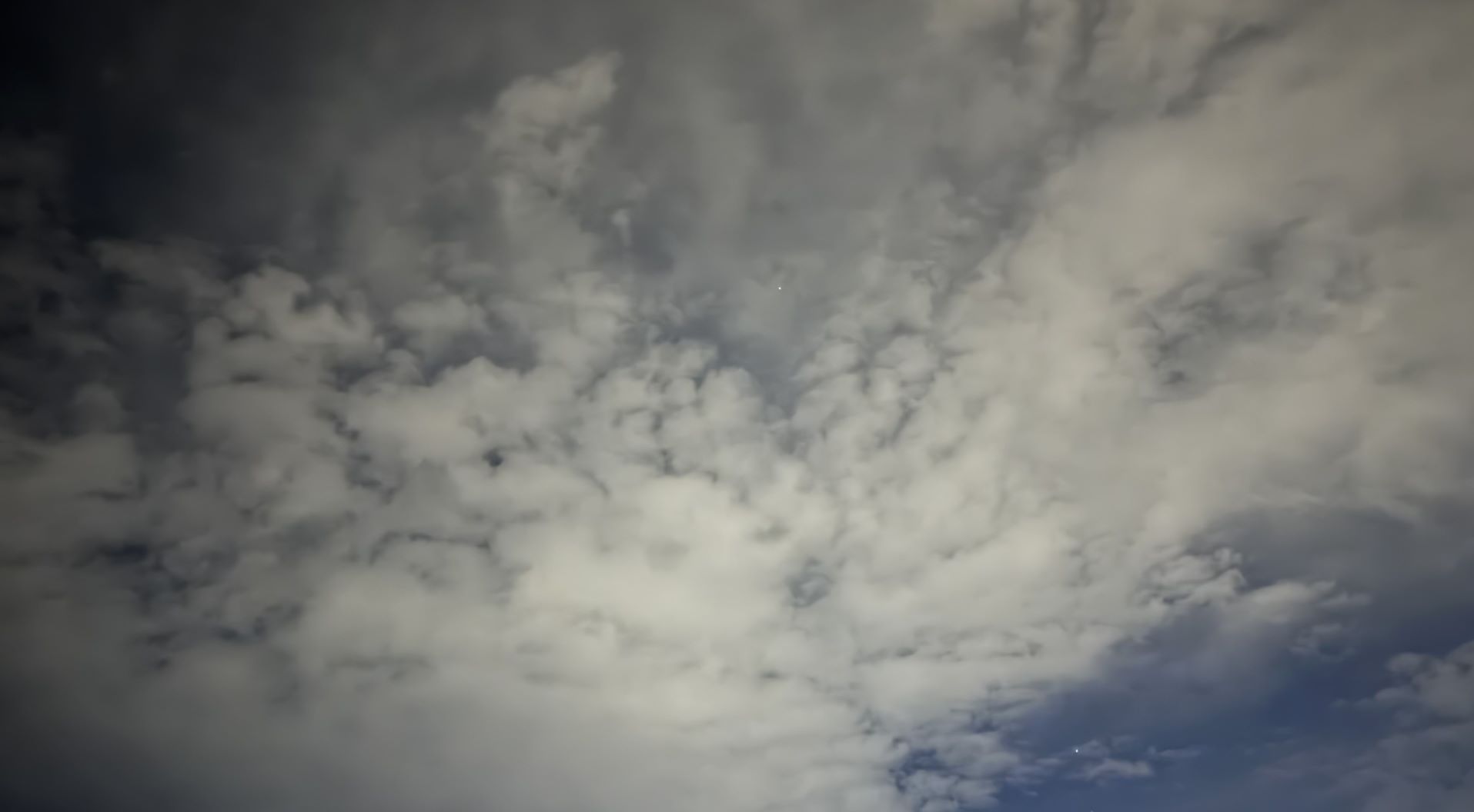 What Do You See?