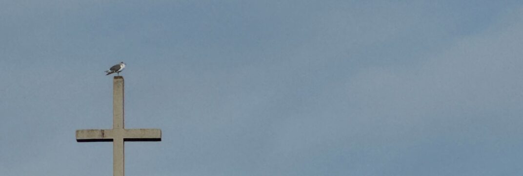 Birds of the Air