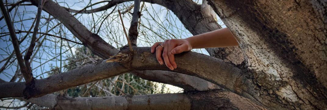 Abide in the Vine