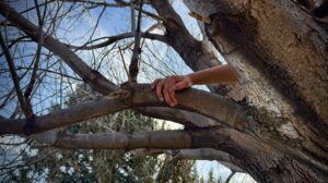 Abide in the Vine Abide in the Vine