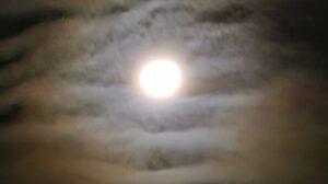 A Light Shines in the Darkness