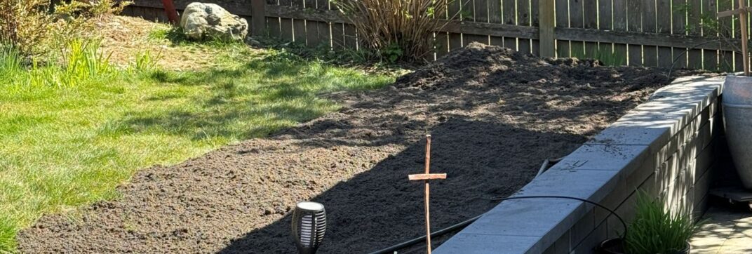 The Cross and Owl